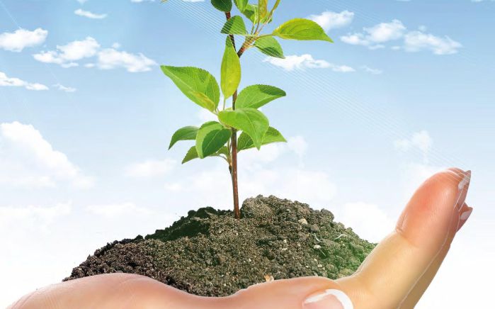 Šetrenie k životnému prostrediu